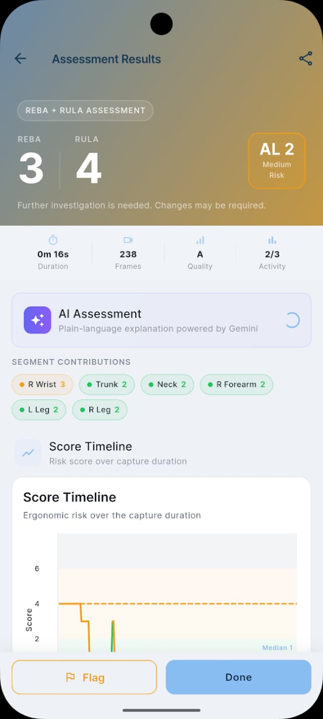 Ergovision assessment results showing REBA and RULA scores