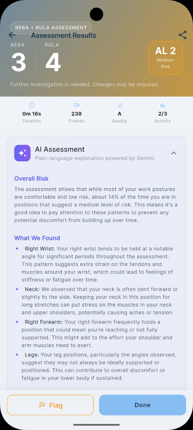 Ergovision AI assessment with overall risk and body segment findings