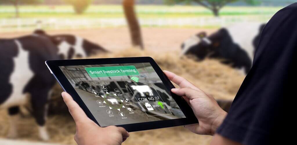 computer vision in traditional farming