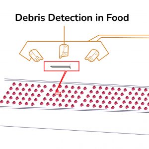 Debris Detection in Food